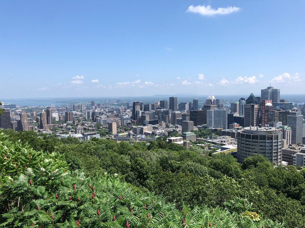 Mt. Royal